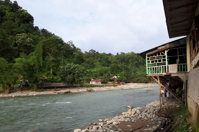 Bukit Lawang, Destinasi Wisata yang Menjadi Rumah Spesies Orangutan Liar di Langkat