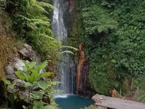 Curug Pangeran, Air Terjun Tersembunyi di Tengah Alam Hijau Bogor