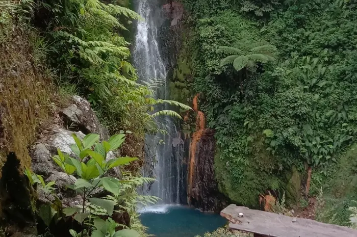 Curug Pangeran, Air Terjun Tersembunyi di Tengah Alam Hijau Bogor