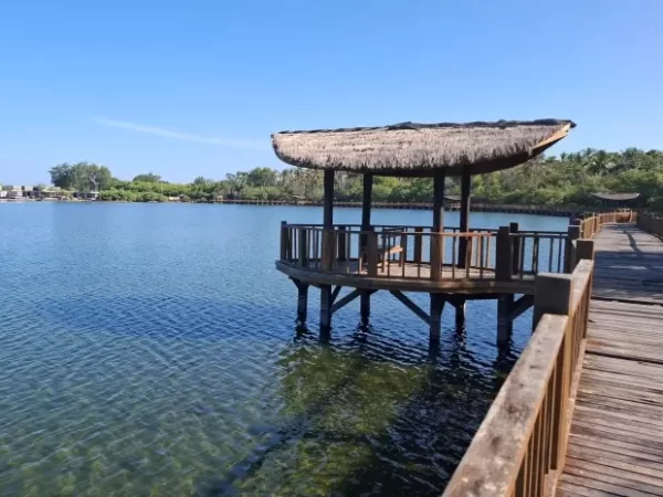 Gili Meno, Pulau Eksotis di Lombok yang Kaya Pesona